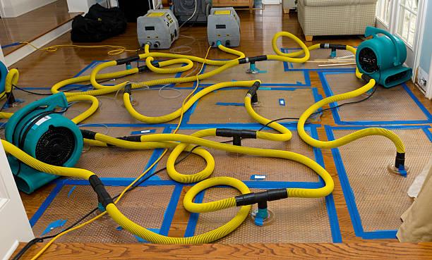 Professional Basement Flood Cleanup technician working in Hopewell, TN
